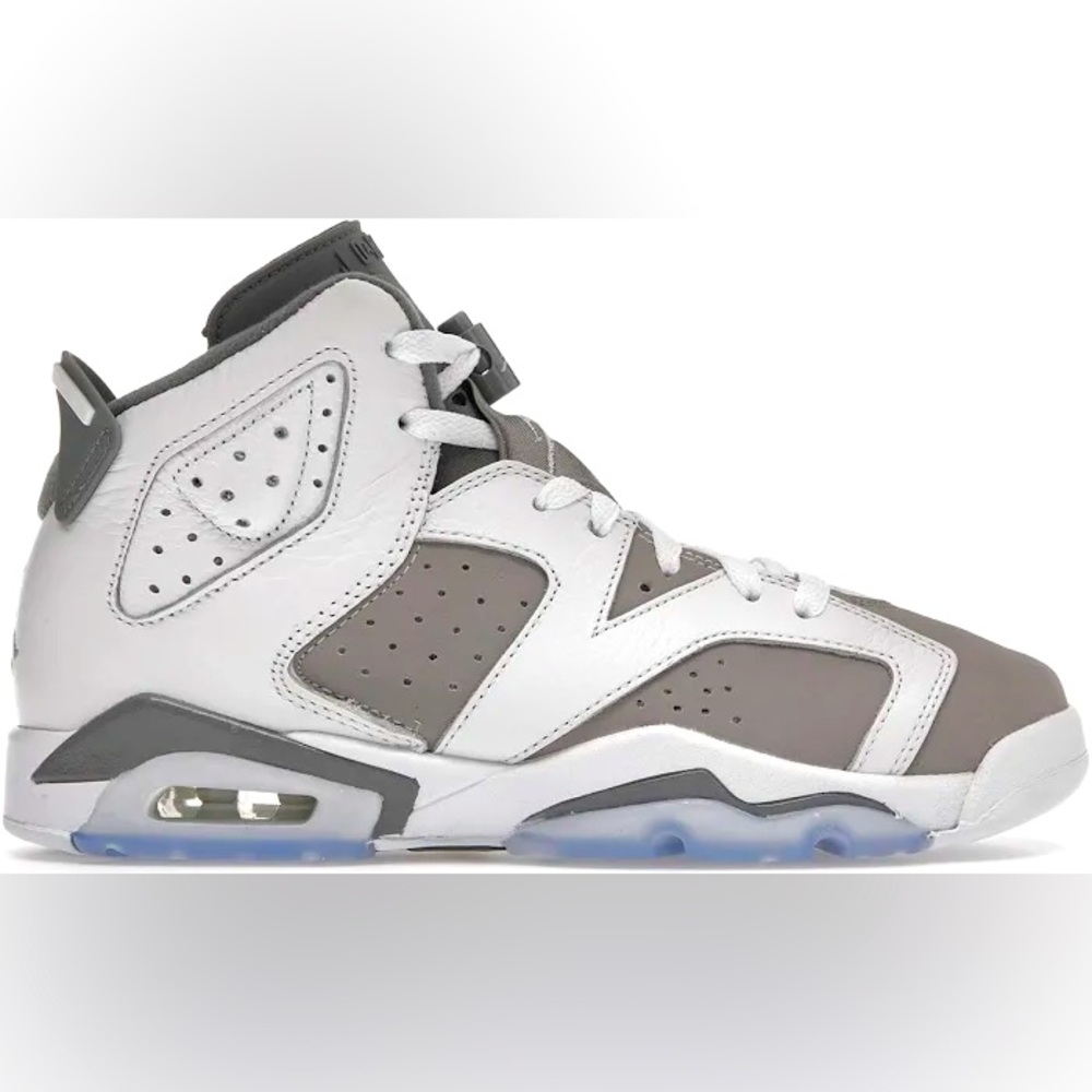 Cool Grey Jordan 6’s